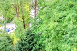 Zentrale, helle, ruhige 2-Zimmer Wohnung mit Balkon in grüner Parkanlage in Bogenhausen – Buschingstraße 45, 81677 Parkstadt, München – Vorschaubild 13