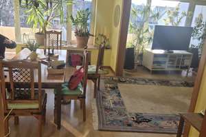 Wohnraum in Köln: Gepflegte 2-Zimmer-Wohnung in Weiden – 50858 Weiden, Köln – Vorschaubild 13
