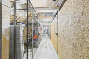 Gepflegte 3-Zimmer-Dachgeschosswohung mit Südausrichtung und Tiefgaragenstellplatz in zentraler Lage – Die vollständige Adresse der Immobilie erhältst du vom Anbieter., 76133 Südweststadt, Karlsruhe – Vorschaubild 18