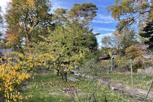 Property thumbnail 14