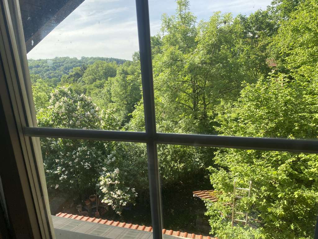 Immobilie in Donaustauf - Traumgrundstück am Waldrand von Donaustauf - Bild 2