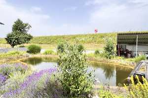 DAS BESONDERE EFH - 2 WOHNUNGEN - SCHWIMMTEICH - 5 GARGENSTELLPLÄTZE – Mühldorf am Inn (Kreis) – Vorschaubild 39
