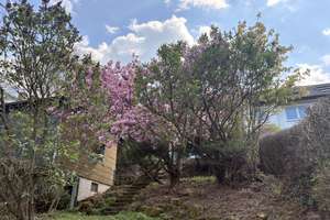 Idyllisch! Renoviertes 3 Parteienhaus mit schönem Garten und Doppelgarage in toller Aussichtslage – Die vollständige Adresse der Immobilie erhältst du vom Anbieter., 70195 Botnang-West, Stuttgart – Vorschaubild 26