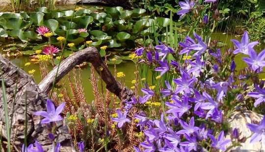 Bild von Gepflegte Doppelhaushälfte mit Garage und Sonnenterrasse in Windischleuba