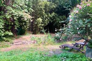 Große Stadtwohnung in zentraler Lage mit direktem Gartenzugang auf 2 Etagen! – Scharnhorststraße 12, 47059 Kaßlerfeld, Duisburg – Vorschaubild 34