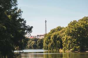 Property thumbnail 9