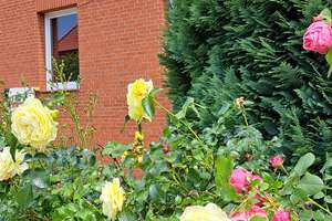 Charmantes Einfamilienhaus in Top Lage von Travemünde von privat 