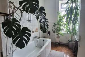 2ZKB,Altbau – Frankenstrasse 20, 65185 Westend / Bleichstraße, Wiesbaden – Vorschaubild 2