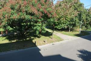Tolle 2- Zi. Wohnung in Heilbronn-Neckargartach, hell und modern! Ruhige Lage! – Leinbachstrasse 17/1, 74078 Neckargartach, Heilbronn – Vorschaubild 8