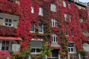 4-Zimmer Maisonette-Eigentumswohnung zentral gelegen in Braunschweig