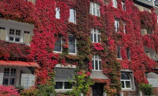 4-Zimmer Maisonette-Eigentumswohnung zentral gelegen in Braunschweig