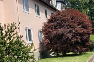 ✨ Schöne 2-Zimmer-Wohnung mit Tageslichtbad, Garten und neuer Wärmedämmung – Die vollständige Adresse der Immobilie erhältst du vom Anbieter., 45359 Schönebeck, Essen – Vorschaubild 2