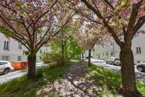 HELLE 2 ZIMMER WOHNUNG IN GRÜNER OASE |HOCHPARTERRE | PROVISIONSFREI | – Rudolf-Schwarz-Straße 26, 10407 Prenzlauer Berg, Berlin – Vorschaubild 7