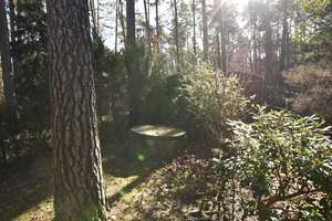 Freizeitbungalow auf Eigentumsland in der Waldsiedlung Wellaune zu verkaufen! – Die vollständige Adresse der Immobilie erhältst du vom Anbieter., 4838 Bad Düben – Vorschaubild 22