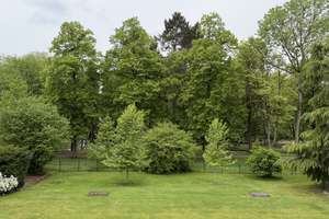 Moderne, helle 4-Zimmer-Wohnung in grüner Lage mit Blick in den Kaiserpark (Nähe Stadtwald) – Schönwasserstraße 228, 47800 Bockum, Krefeld – Vorschaubild 29