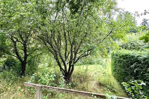 HORN IMMOBILIEN ++ idyllisches Reihenmittelhaus in Wilsickow bei Pasewalk – Uckermark (Kreis) – Vorschaubild 4