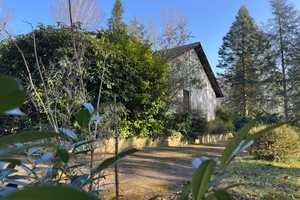 Einzigartiges Grundstück ... Einfamilienhaus mit Hallen auf einem parkähnlichem Grundstück – Miltenberg (Kreis) – Vorschaubild 4