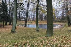 Gutshaus & historische Anlage Lausitzer Seenlandschaft – Die vollständige Adresse der Immobilie erhältst du vom Anbieter., 3130 Tschernitz – Vorschaubild 3