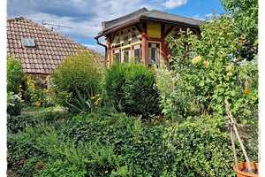 Alte Stadtvilla mit vier Wohneinheiten in der Altstadt zu verkaufen - eine Rarität mit Geschichte- – Pfaugasse 00, 55276 Mainz-Bingen (Kreis) – Vorschaubild 13