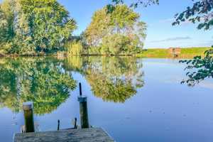 Romantische Kate unter Reet auf Eiderstedt - Nordseenähe – Nordfriesland (Kreis) – Vorschaubild 16