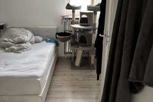 Property thumbnail 12