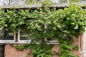 FINALER PREIS | PROVISIONSFREI | Großzügiges Grundstück mit Einfamilienhaus und Bungalow – Oberhavel (Kreis) – Vorschaubild 1