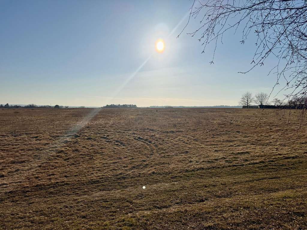 Immobilie in Datzetal - HORN IMMOBILIEN++ 15 km bis Neubrandenburg, schöne Doppelhaushälfte mit großen Grundstück & 2 Garage - Bild 4