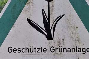 Property thumbnail 31