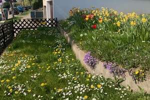 Sommerrain: Freistehendes 2 Familienhaus mit großem Garten und Doppelgarage – Immergrünweg 16, 70374 Sommerrain, Stuttgart – Vorschaubild 10