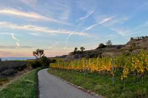Schön Wohnen im Kaiserstuhl - Neubau KfW 40 Niedrigenergie - Einzugsfertig – Brünnelestr. 14, 79235 Breisgau-Hochschwarzwald (Kreis) – Vorschaubild 42