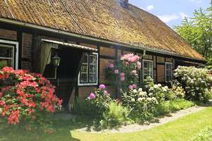 Bezauberndes Fachwerkhaus mit Geschichte und traumhaften Grundstück in Bienenbüttel-Rieste! – Die vollständige Adresse der Immobilie erhältst du vom Anbieter., 29553 Bienenbüttel – Vorschaubild 17