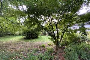LIEBHABEROBJEKT MIT VERWUNSCHENEM GARTENPARADIES! – 44359 Schwieringhausen, Dortmund – Vorschaubild 5