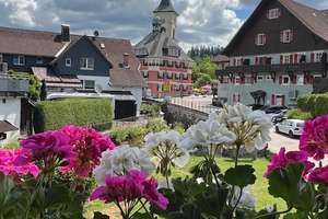Schmuckstück an der Haslach - 3 Wohnungen, 4 Fewos und 1 Gewerbeeinheit – Die vollständige Adresse der Immobilie erhältst du vom Anbieter., 79853 Lenzkirch – Vorschaubild 78