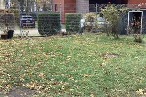 Charmante 3-Raum-Wohnung mit Einbauküche und Garten – Hohe Str. 1, 39124 Neue Neustadt, Magdeburg – Vorschaubild 14