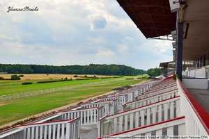 Einladung - 18.07.2025 ab 18:00 Uhr - OFFENES HAUS MIT KÜNSTLERISCHER UMRAHMUNG – Märkisch-Oderland (Kreis) – Vorschaubild 17
