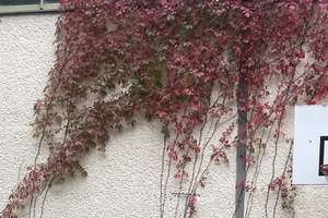 Property thumbnail 43