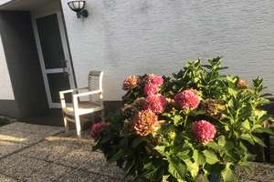 Gepflegte 2-Zimmer-Terrassenwohnung in Burscheid/Hilgen