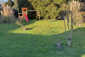 Superlage, großes Grundstück, altes Haus – Steinfurt (Kreis) – Vorschaubild 2