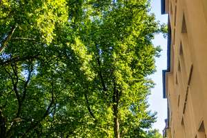 SANIERTE 3-ZIMMER WOHNUNG MIT GROßEM BALKON – Nahestraße 31, 47051 Altstadt, Duisburg – Vorschaubild 9