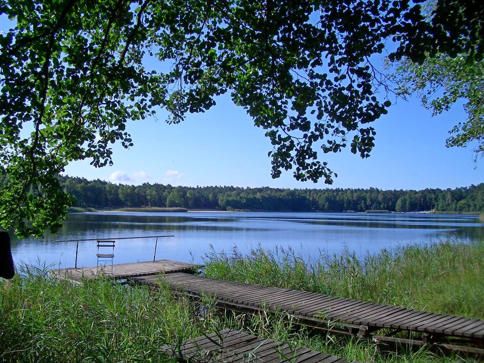 Großes, herrschaftliches Anwesen auf 145.000 m² am See, Spree Neiße Kreis – Bild 4