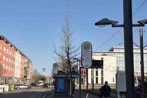 Praktische 2-Zimmer-Wohnung in Karlsruhe-Oberreut – Woerishofferstraße 12, 76189 Oberreut, Karlsruhe – Vorschaubild 14