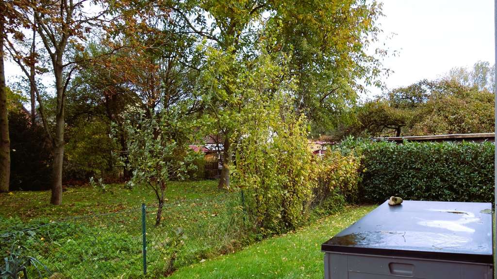 Immobilie in Bad Doberan - Sonnige 3-Zimmer-Terrassenwohnung in ruhiger Lage mit eigenem Gartenanteil - Bild 2