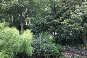 Großzügige Architektenvilla in Bestlage am Killesberg mit traumhaftem Weitblick über Stuttgart – Hermann-Kurz-Straße 19, 70192 Mönchhalde, Stuttgart – Vorschaubild 8