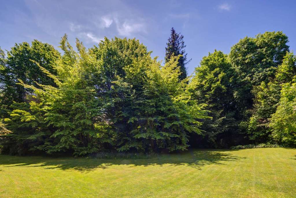 Immobilie in Schäftlarn - Neubauprojekt mit Doppelhaus - Bild 0