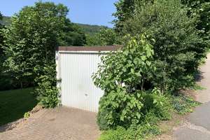 Bahnwärterhaus als Wohnhaus an der Bahnstecke Walldürrn – Sonnenhalde 2, 74731 Walldürn – Vorschaubild 4
