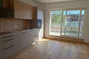 // energieeffizienter Erstbezug // 4 ZIMMER + TERRASSE + EBK + SP // – Georg-Schwarz-Straße 163, 4179 Leutzsch, Leipzig – Vorschaubild 4