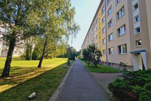 Property thumbnail 7