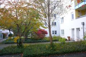 Wohlfühlwohnung mit Wintergarten und Einbauküche in beliebter Wohnanlage – Parksiedlung Spruch 3 bis 137, 12349 Buckow, Berlin – Vorschaubild 2
