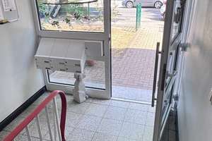 ACHTUNG SOMMERAKTION ! Ab 01.08.2026 ! 4,5- Zimmer- ETW mit Balkon in E- Katernberg, Hanielstr. 15 ! – 45327 Katernberg, Essen – Vorschaubild 5