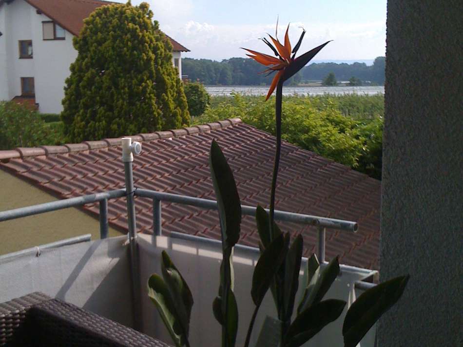 Ausblick